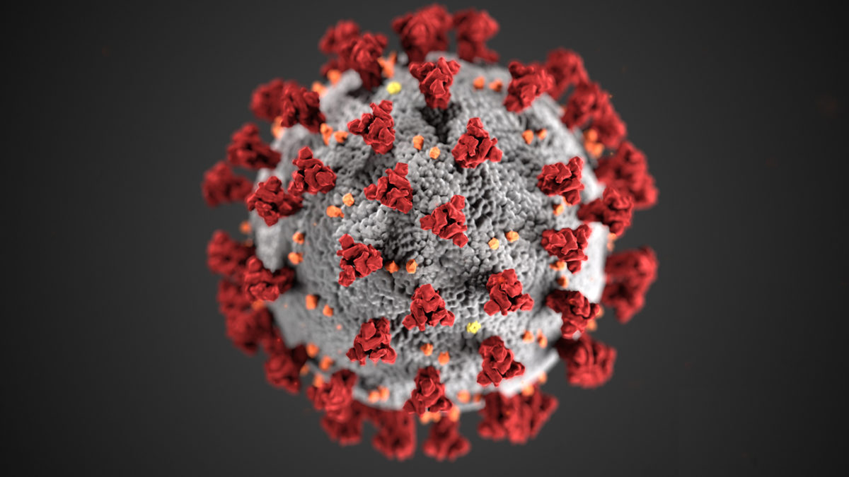 Generic Coronavirus