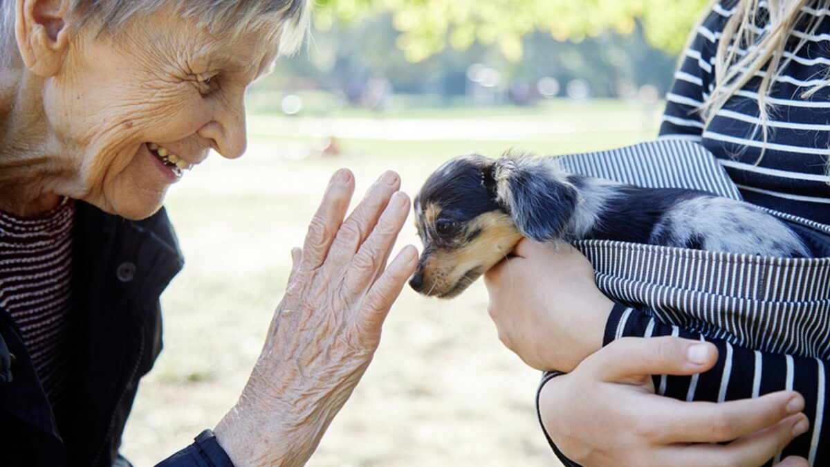 Senior woman petting a dog