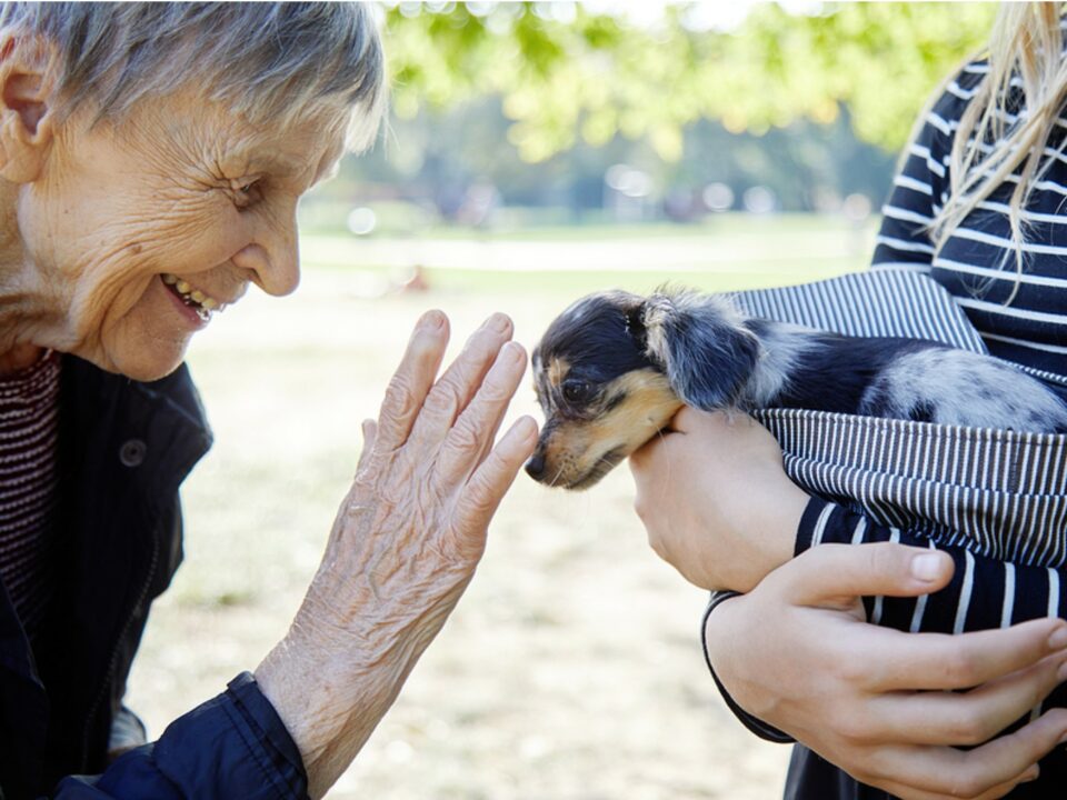 Senior woman petting a dog